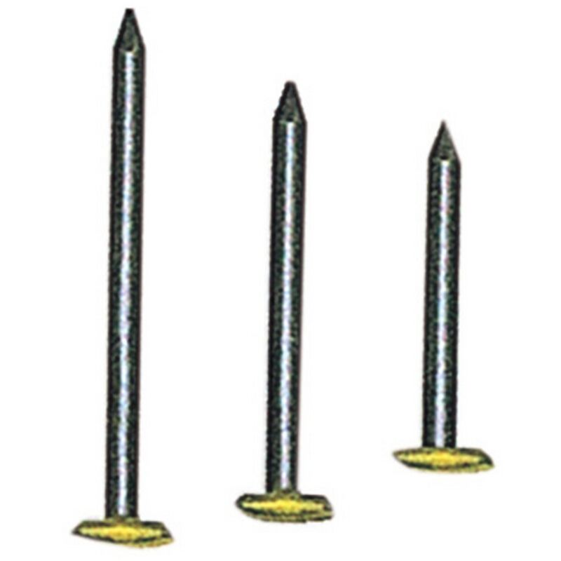 foto del prodotto sc chiodi testa ricop.ottone mm.2x30 pz.100