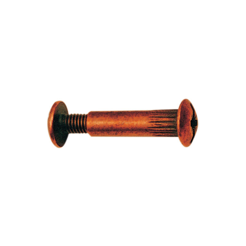 foto del prodotto sc giunzioni bronz. mm. 8x30 vite 15 pz.8 