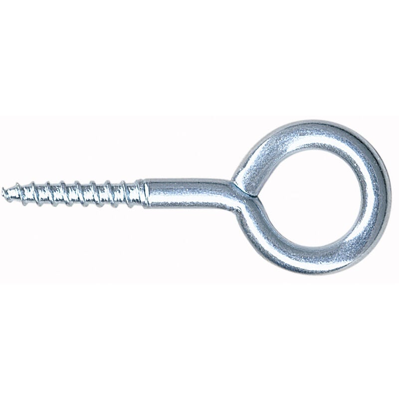 foto del prodotto sc occhioli a vite 25x140 pz.2 