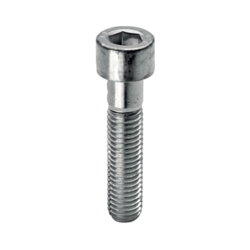 foto del prodotto sc viti t. cil. 8.8 esag. inc. 4x40 pz.20 . prezzo per 1 pezzo.