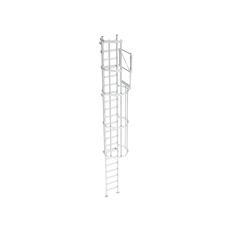 foto del prodotto scala a gabbia altezza raggiungibile da 2.80 a 3.10m cs31 sl