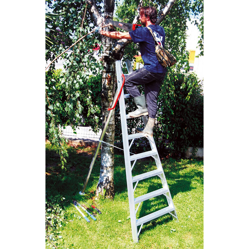 foto del prodotto scala agricola 6 pioli lunghezza 1.74m sca1969s 06 sccsto