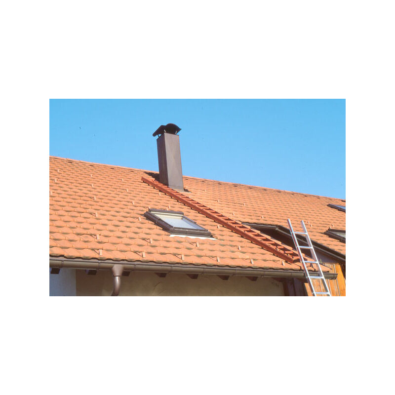 foto del prodotto scala per carpentieri ral 8014 marrone seppia lunghezza 1,95m 409307