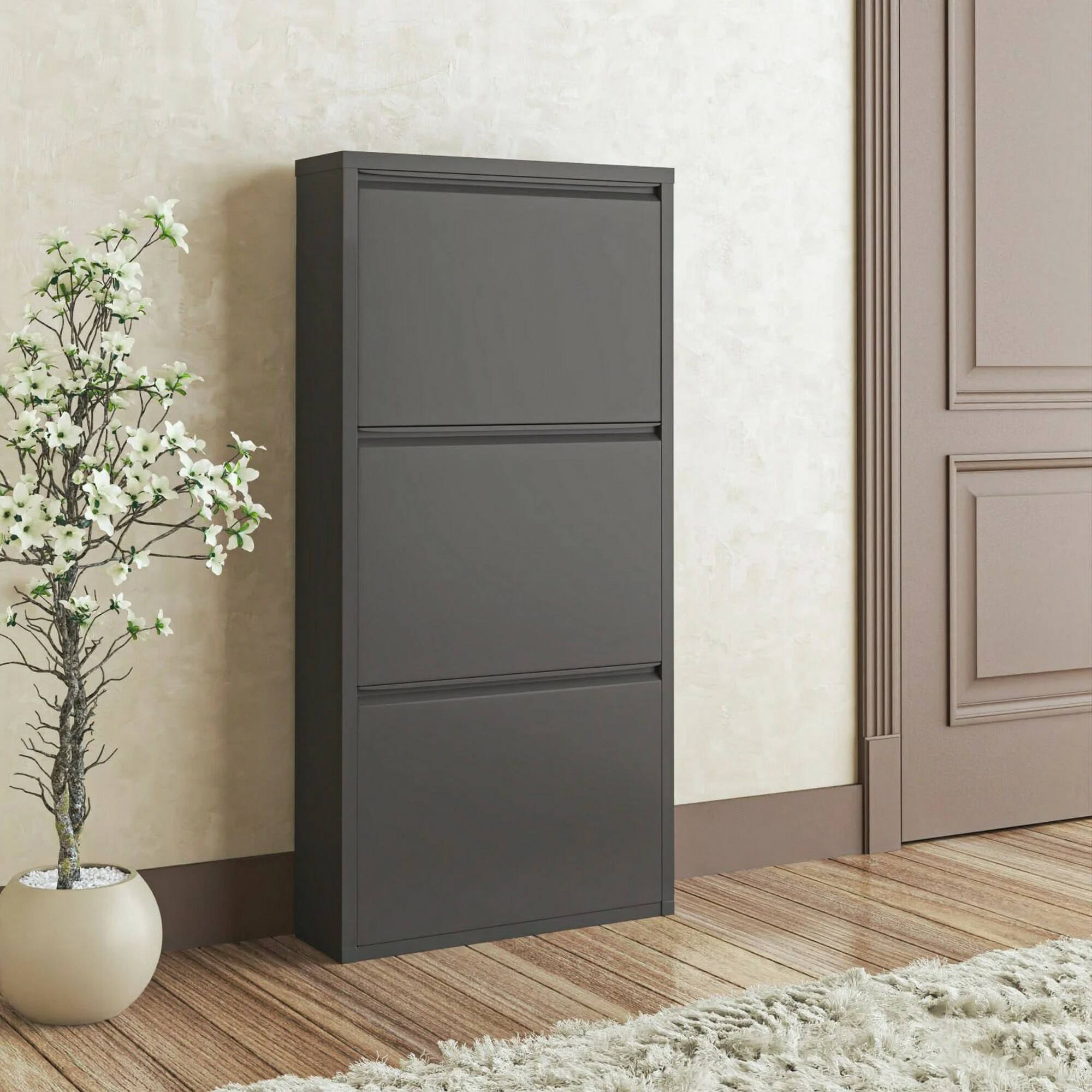 foto del prodotto scarpiera alexa, mobile portascarpe in metallo, armadio da ingresso multiuso, mobiletto per calzature, 50x15h104 cm, nero dmora
