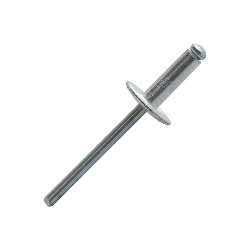 foto del prodotto scatola 250 rivetti ciechi a testa larga scell it 4,8 x 20 mm asl4820