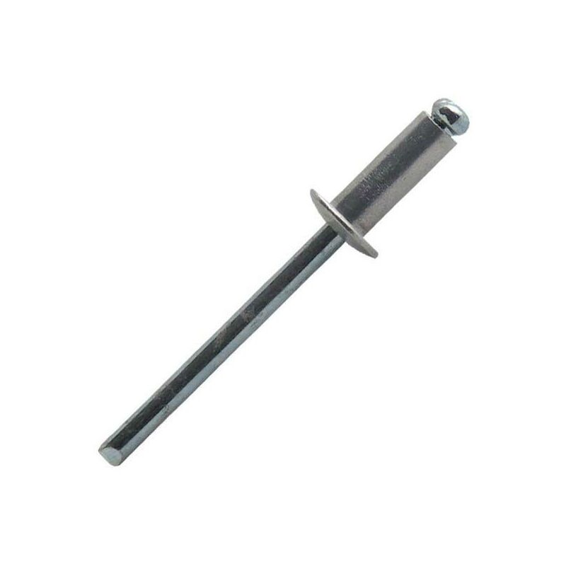 foto del prodotto scatola 250 rivetti standard scell it 4,8 x 10 mm asd4810