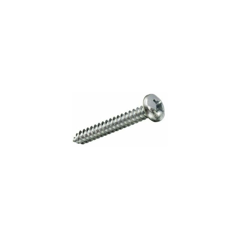 foto del prodotto scatola da 10 unit di vite autofilettante a testa tonda in zinco 4,8x19mm fadix