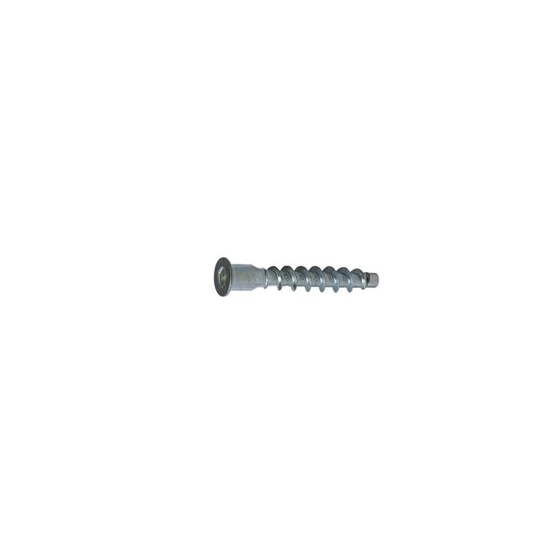 foto del prodotto scatola da 100 viti di montaggio zincate 5x50mm