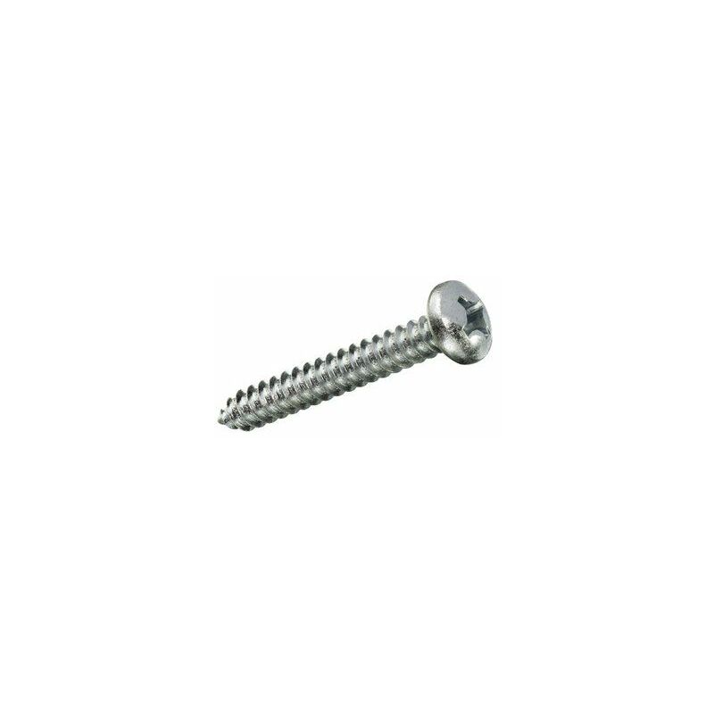 immagine 0 del prodotto scatola da 20 unit di vite autofilettante per lamiera con testa tonda in zinco 3,9x9,5mm fadix
