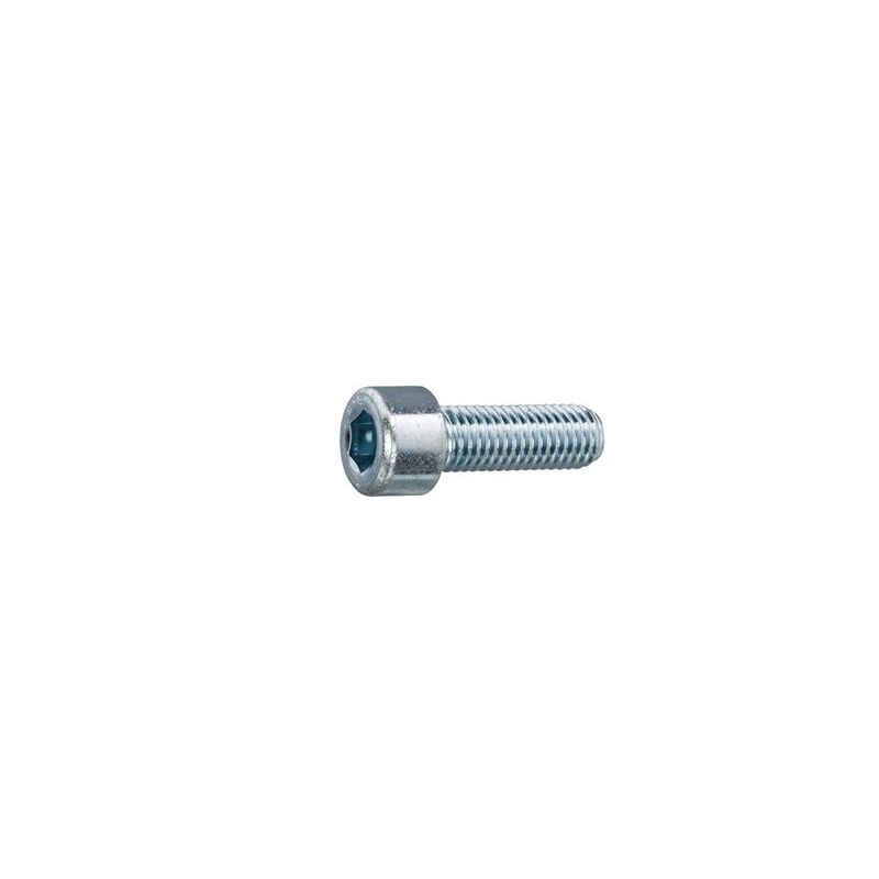 foto del prodotto scatola da 200 viti a brugola zincate m6x50mm 8.8 din 912