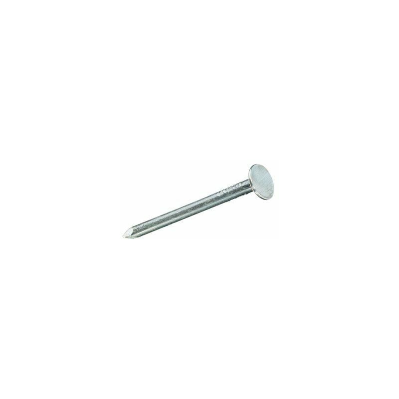 foto del prodotto scatola da 30 unit di chiodi in acciaio a testa larga 2,5x30 mm fadix