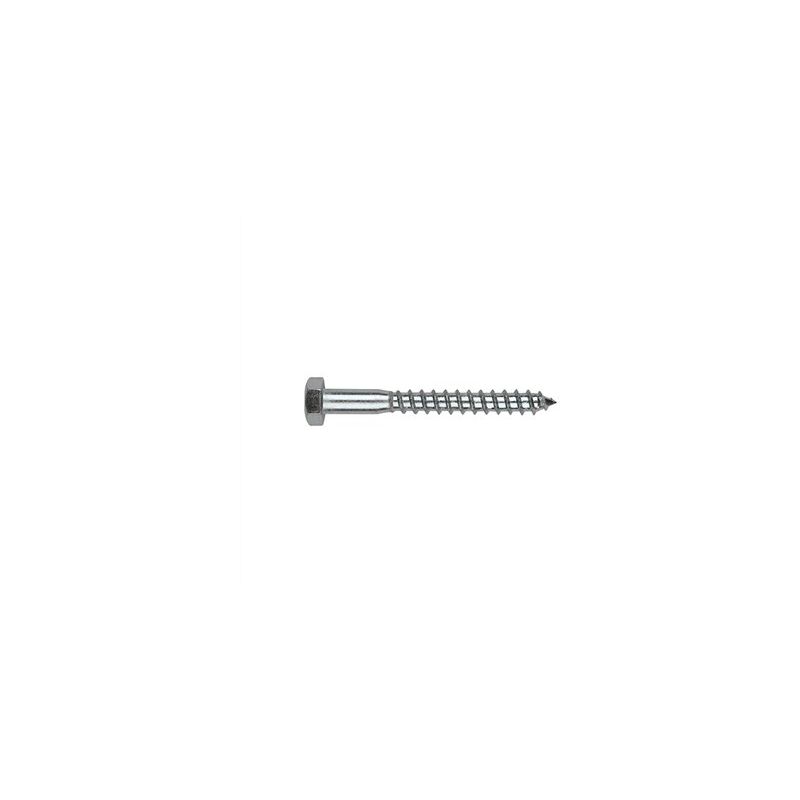 foto del prodotto scatola da 50 viti a testa cilindrica con esagono incassato din 571 da 10x110 mm