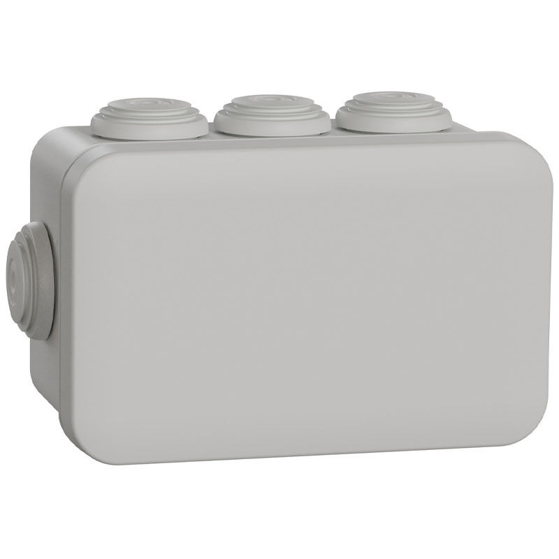 foto del prodotto scatola schneider di derivazione ip55 105x65x55 con gommini enn05003