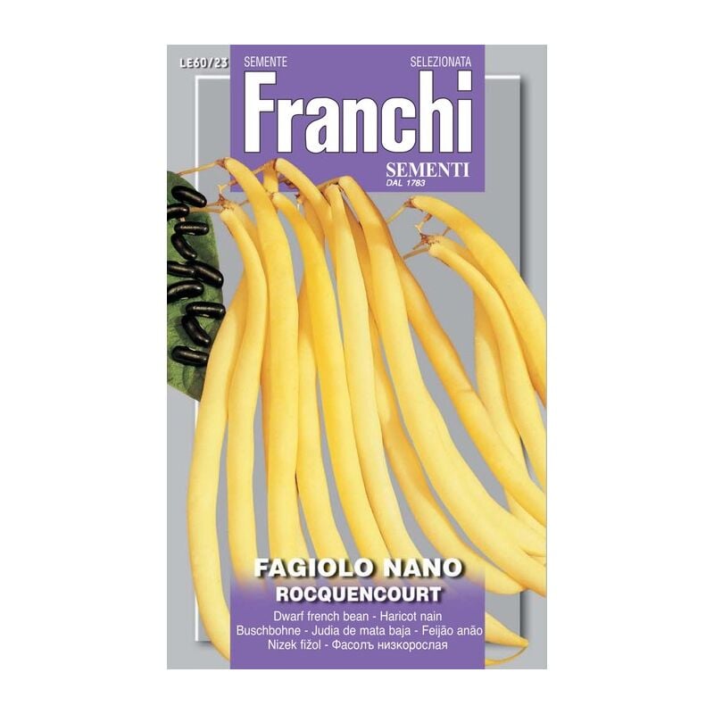 foto del prodotto scatola semi di fagiolo nano rocquencourt orto giardino semi