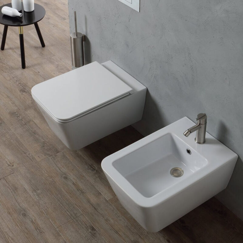 foto del prodotto scelto da desivero lynx wc sospeso bianco lucido senza brida con fissaggi codice prod dsv16561