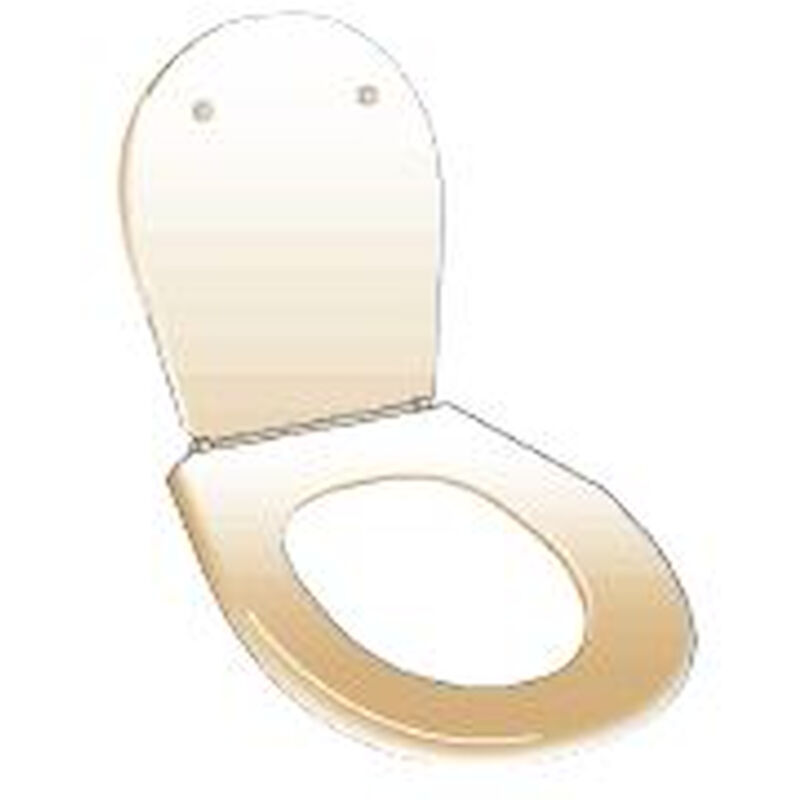 foto del prodotto scelto da desivero - universale sedile champagne codice prod dsv03143