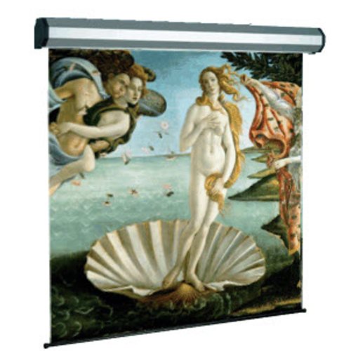 foto del prodotto schermo proiezione elettrico 300x300cm 1 1 tela bianca ignifuga modello professional