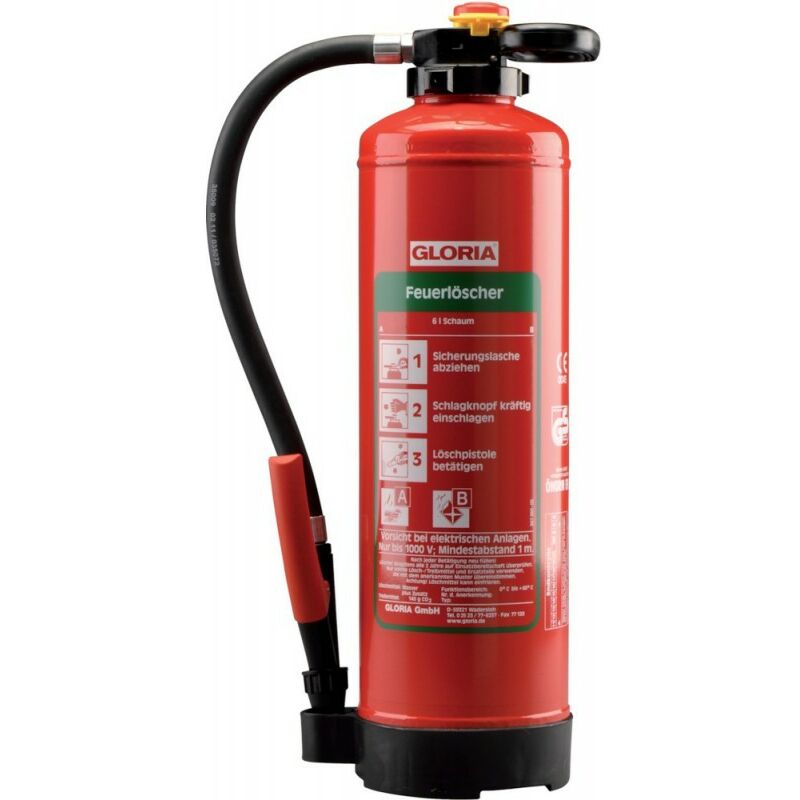 foto del prodotto schiuma estintore 6 sk pro