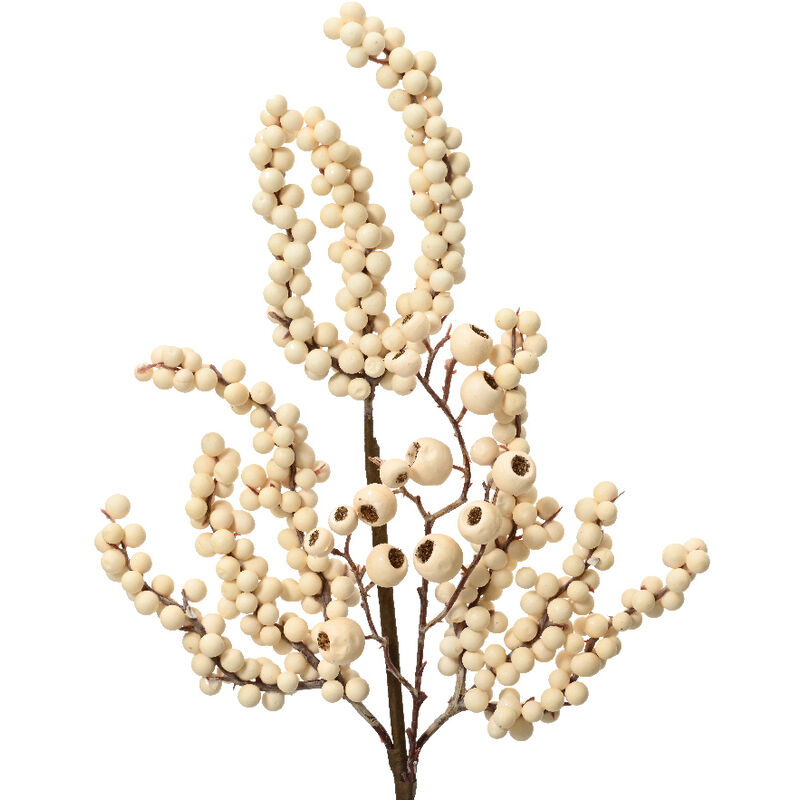 foto del prodotto schiuma fiore di bacche l 2 x p 15 x h 60 cm