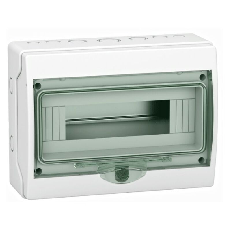foto del prodotto schneider electric centralino schneider a parete 12 moduli ip65 porta trasparente 10315
