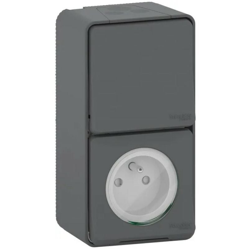 foto del prodotto schneider electric deviatore con presa di terra stagna grigio antracite
