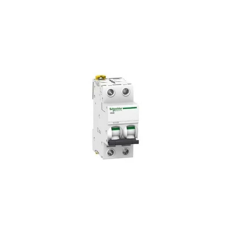foto del prodotto schneider electric - interruttore automatico schneider a9f75202 2p 2a curva d acti9 ic60n