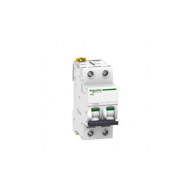 foto del prodotto schneider electric schneider a9f93206 interruttore automatico 6 a acti9 ic60l 2p curva b