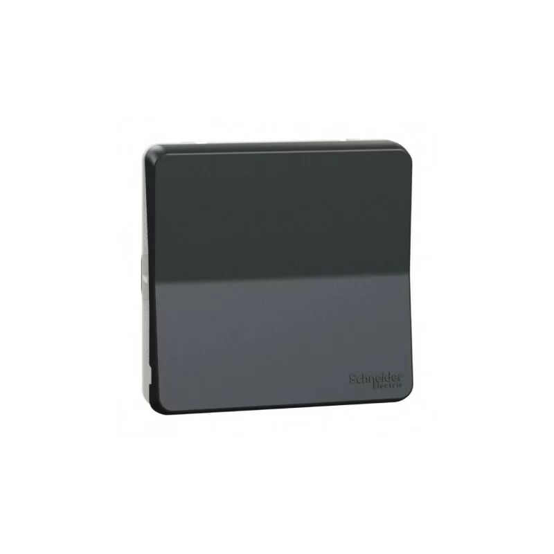 foto del prodotto schneider electric schneider mureva styl mur35027 pulsante con connessione automatica ip55 ik08 composable grigio antracite