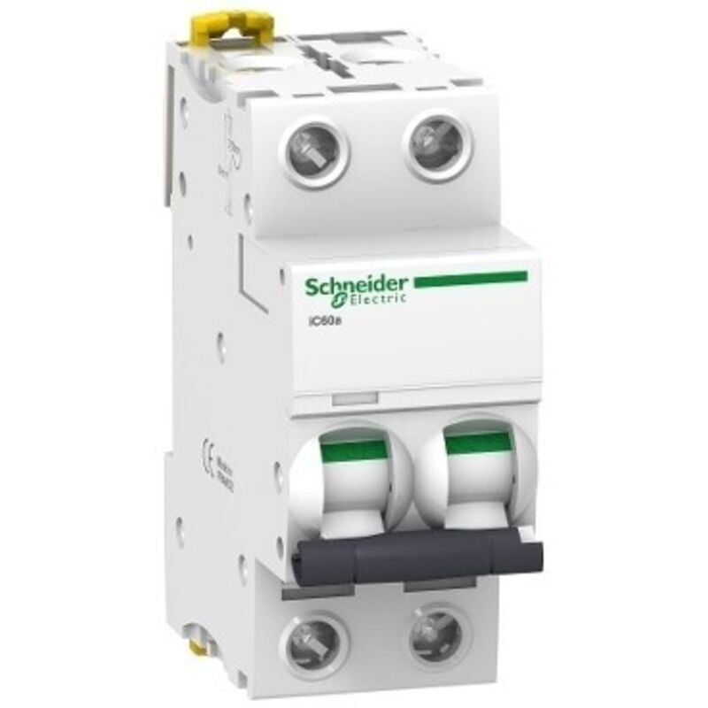 foto del prodotto schneider interruttore magnetotermico ic60a 2p c 25a 4500a cod. a9f64225 