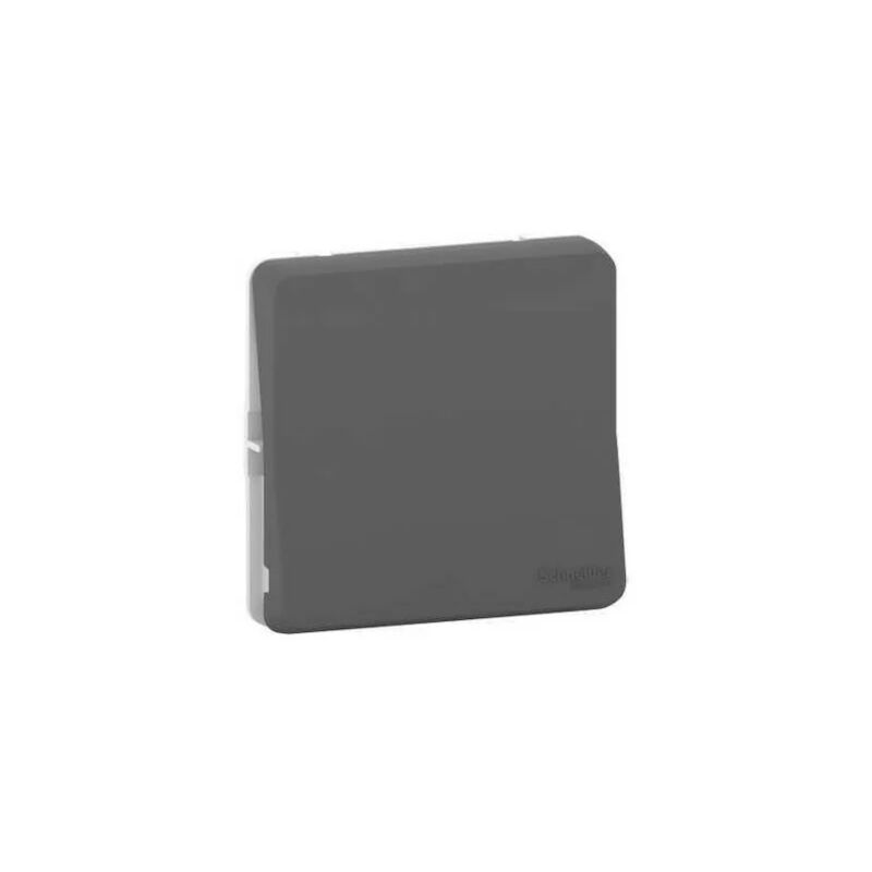 foto del prodotto schneider mur37021 deviatore modulare stile mureva