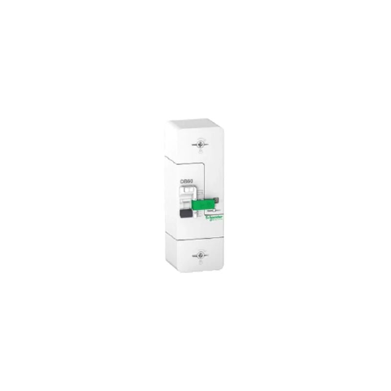 foto del prodotto schneider r9e10360 collegamento interruttore 1p n 30 45 60a 500ma selettivo resi9 db60