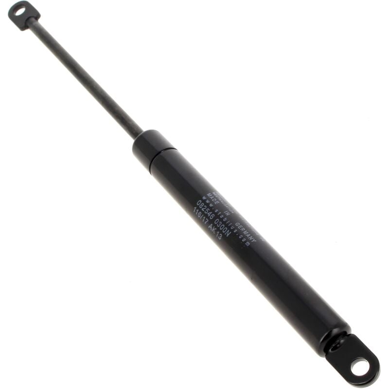 foto del prodotto scholtes ammortizzatore 300n, c00136997 per porta alzante