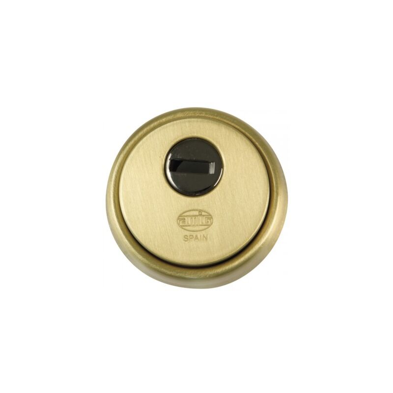 foto del prodotto scudo cavo in ottone opaco 65mm mod. 31 6360 amici