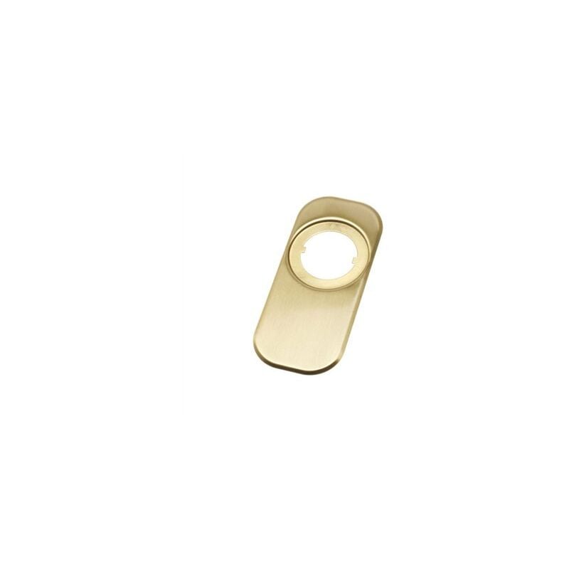 foto del prodotto scudo in ottone opaco 165x74mm mod.10 6356 amig