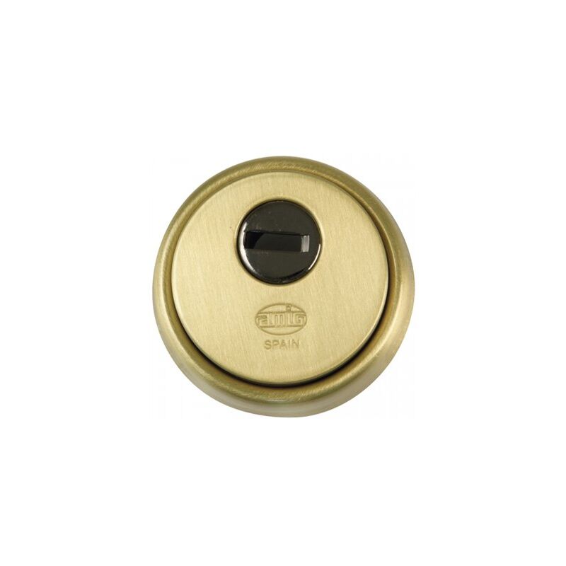 foto del prodotto scudo in ottone opaco massiccio 65mm mod. 30 6358 amici