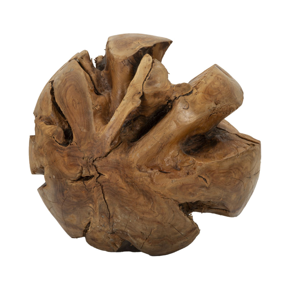 foto del prodotto scultura radice, marrone, legno, 50x50x50 cm, epikasa