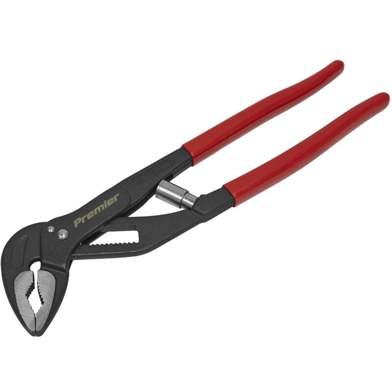 foto del prodotto sealey pinza auto regolazione, argento, ak8532