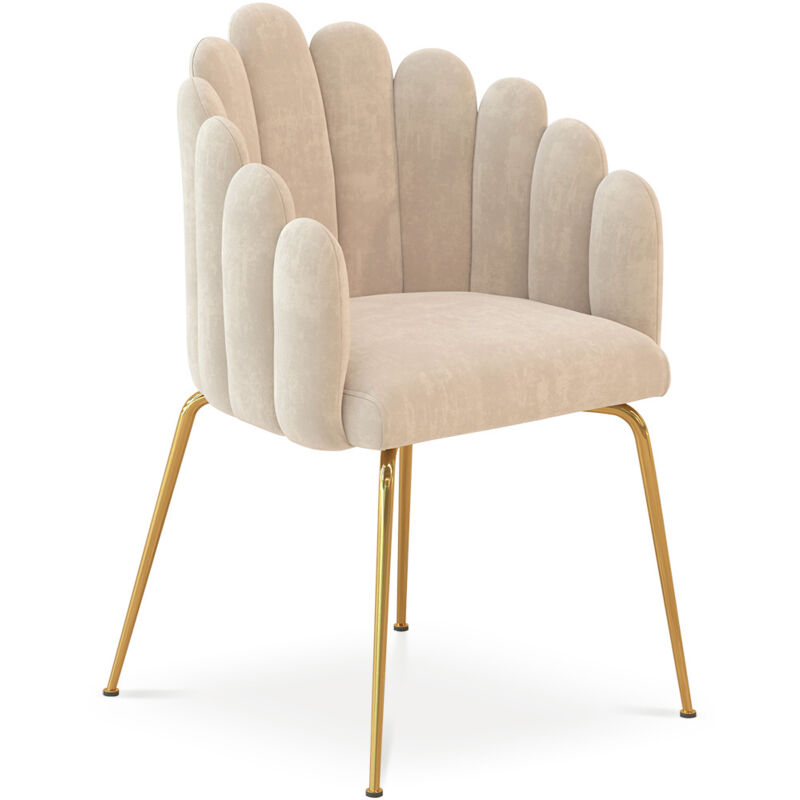 foto del prodotto sedia da pranzo glam design conchiglia in velluto gambe dorate shell beige