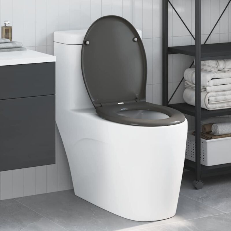 foto del prodotto sedile del wc a rilascio rapido con chiusura morbida duroplast antracite vidaxl
