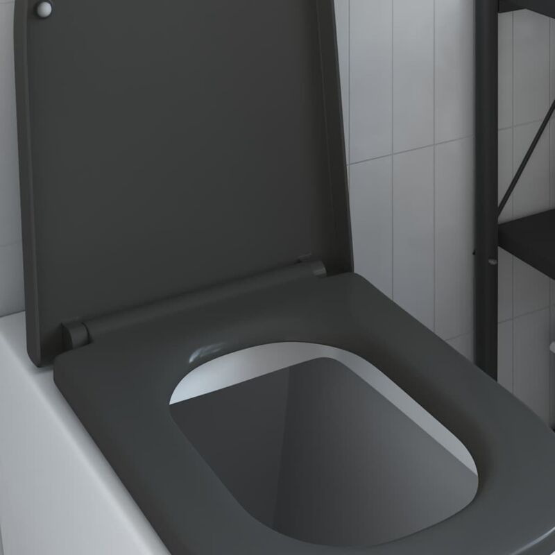 foto del prodotto sedile del wc a rilascio rapido con chiusura morbida in duroplast antracite vidaxl