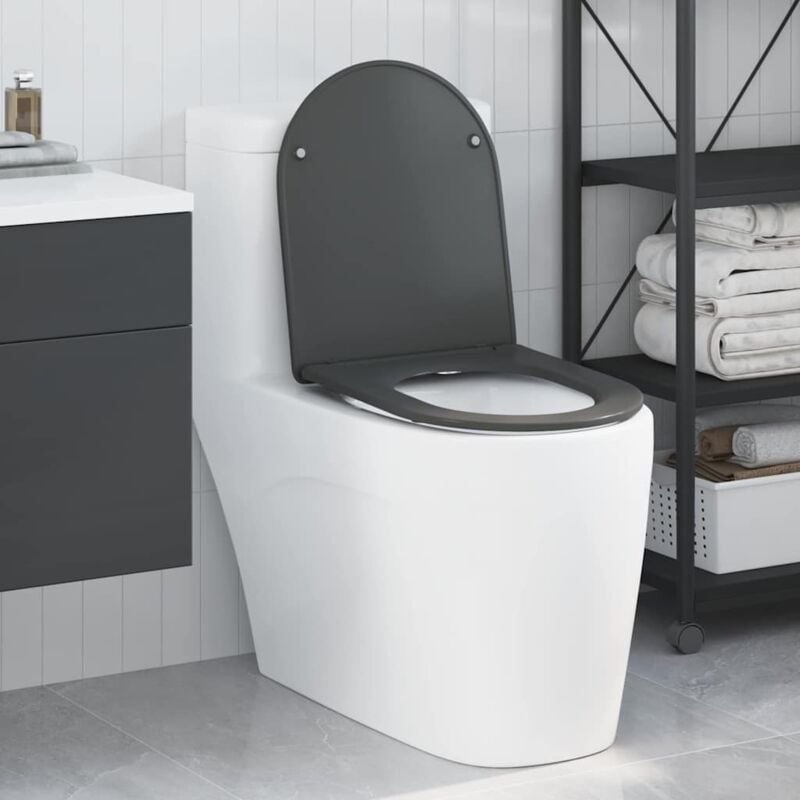 foto del prodotto sedile del wc con chiusura morbida in duroplast antracite di vidaxl