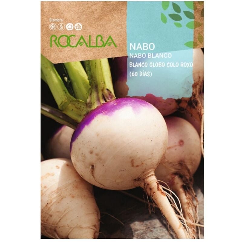 foto del prodotto seed nabo blanco globo colo roxo 60 d 500g rocalba