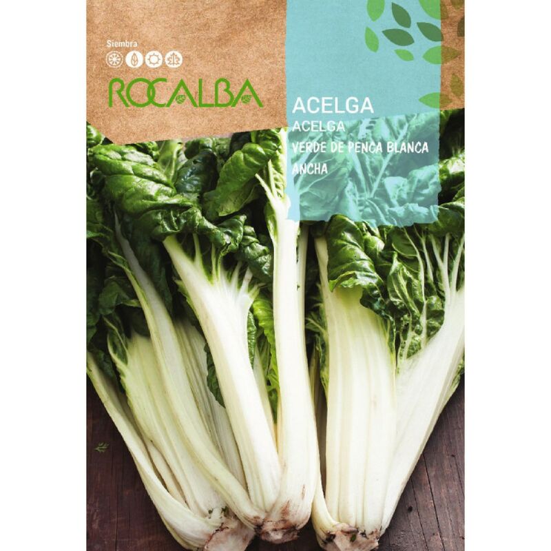 foto del prodotto seed verde verde di ampia p.blanca 100g rocalba