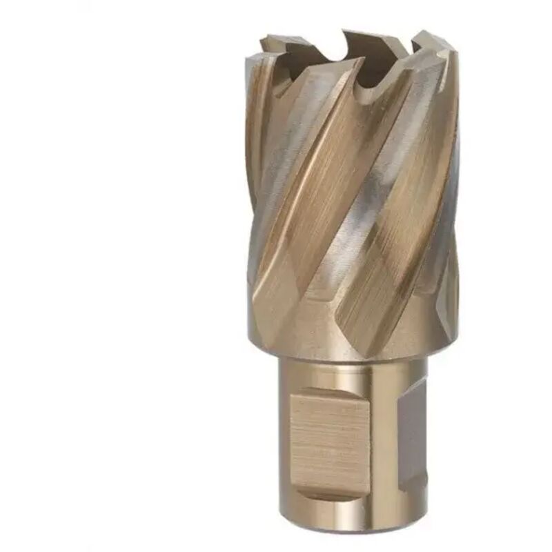 foto del prodotto sega a carotare con attacco weldon diamentro 13 mm fervi f002 13