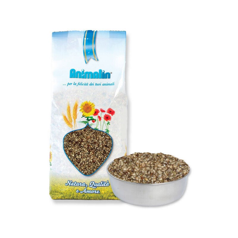 foto del prodotto seme di canapa 800gr also