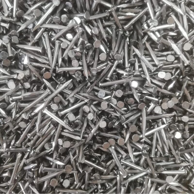 foto del prodotto semenza 100 gr chiodi per calzolaio numero 12