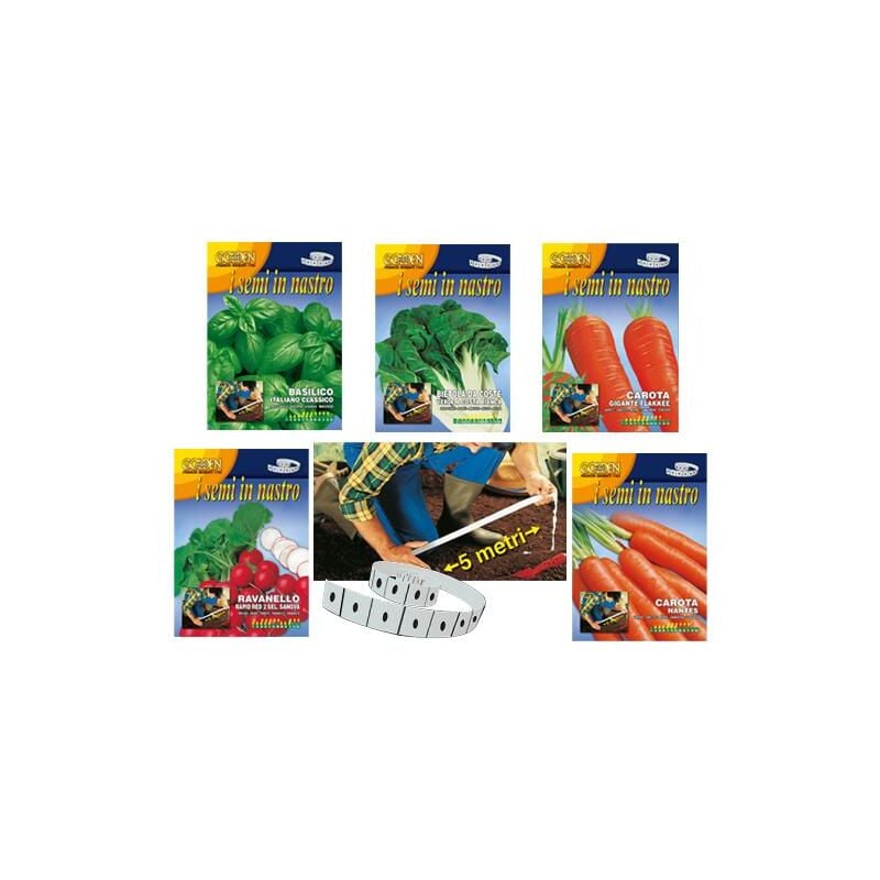 foto del prodotto semi a nastro carota flakke 2 glst23 13