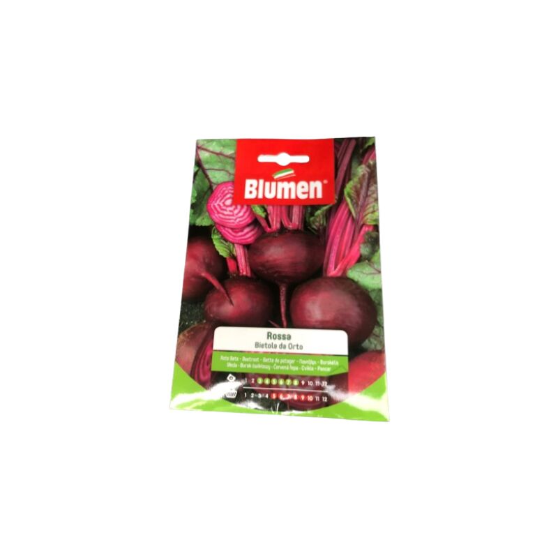 foto del prodotto semi barbabietola rossa blumen