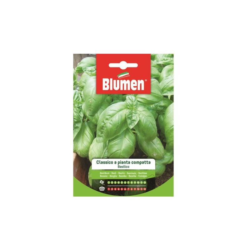 foto del prodotto semi basilico classico a pianta compatta blumen