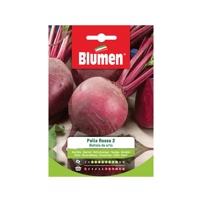 foto del prodotto semi bietola orto palla rossa 2 blumen